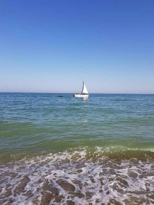 Апартаменты Gold Bugaz Apartment near the sea Каролино-Бугаз-48